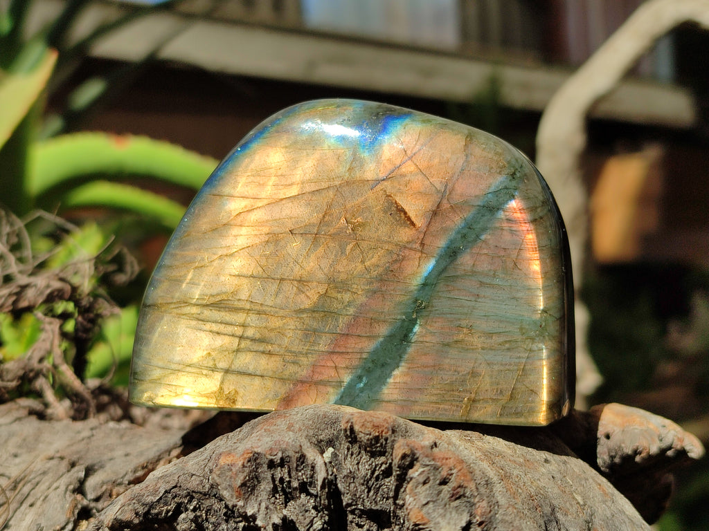 Polished Labradorite Standing Free Forms x 3 From Tulear, Madagascar - Toprock Gemstones and Minerals 