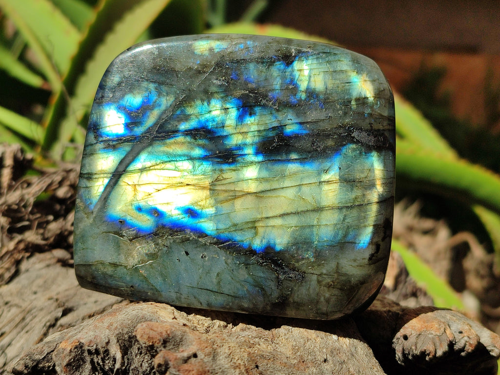 Polished Labradorite Standing Free Forms x 3 From Tulear, Madagascar - Toprock Gemstones and Minerals 