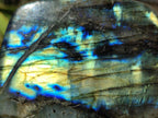 Polished Labradorite Standing Free Forms x 3 From Tulear, Madagascar - Toprock Gemstones and Minerals 