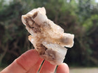 Natural Drusy Quartz Coated Calcite Pseudomorph Specimens x 20 From Alberts Mountain, Lesotho - Toprock Gemstones and Minerals 
