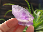Polished Smokey Window Amethyst Quartz Crystals x 12 From Akansobe, Madagascar - Toprock Gemstones and Minerals 