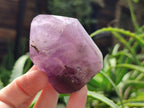 Polished Smokey Window Amethyst Quartz Crystals x 12 From Akansobe, Madagascar - Toprock Gemstones and Minerals 