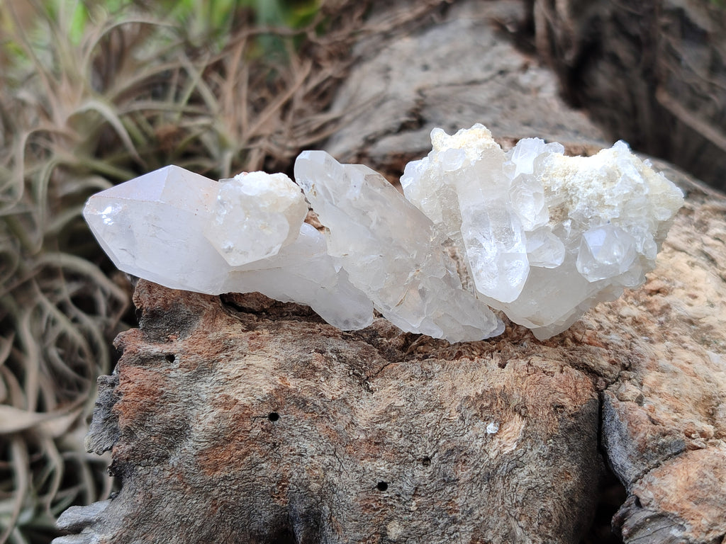 Natural Quartz Crystals x 70 From Mpika, Zambia - Toprock Gemstones and Minerals 