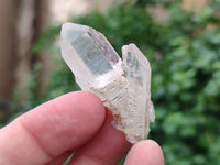 Natural Quartz Crystals x 70 From Mpika, Zambia - Toprock Gemstones and Minerals 