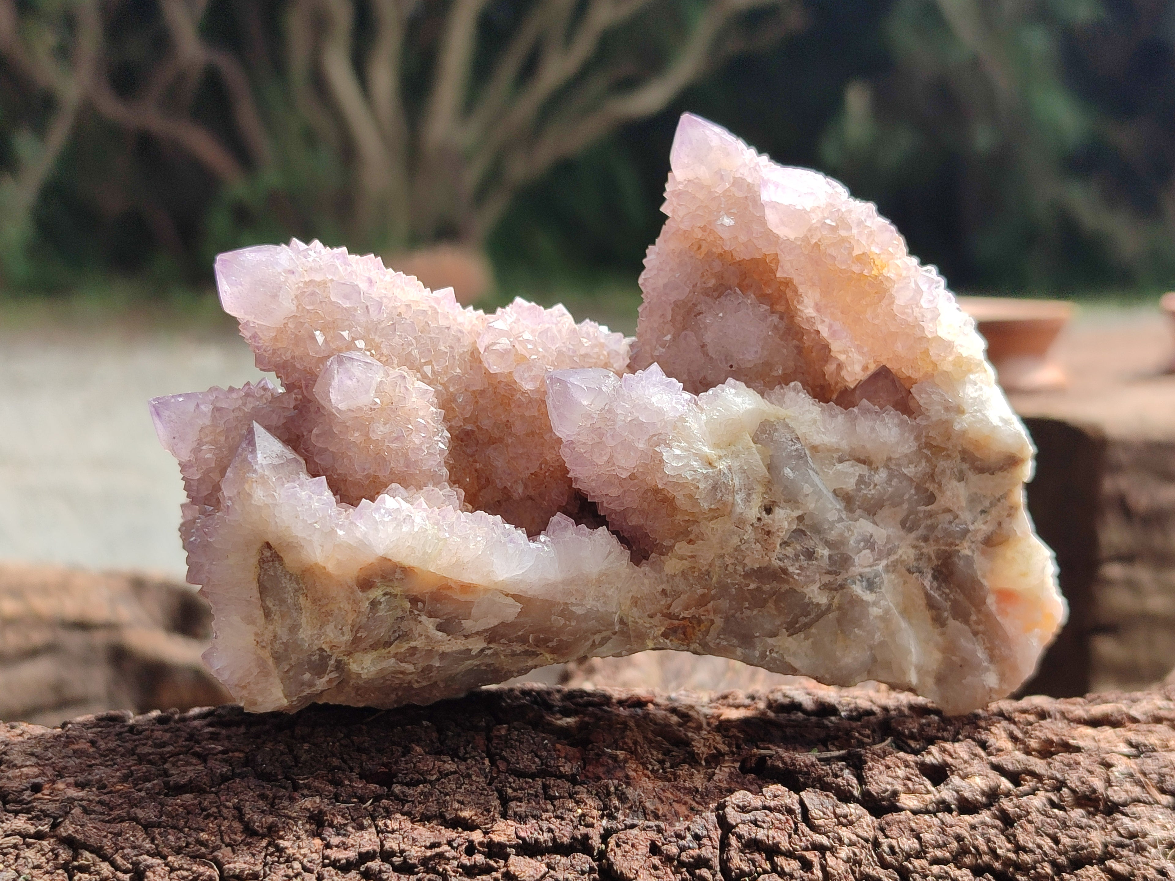 Natural Amethyst Spirit Quartz Clusters x 6 From Boekenhouthoek, South Africa - Toprock Gemstones and Minerals 