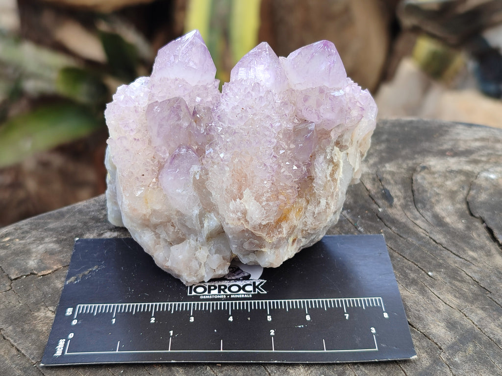 Natural Amethyst Spirit Quartz Clusters x 6 From Boekenhouthoek, South Africa - Toprock Gemstones and Minerals 