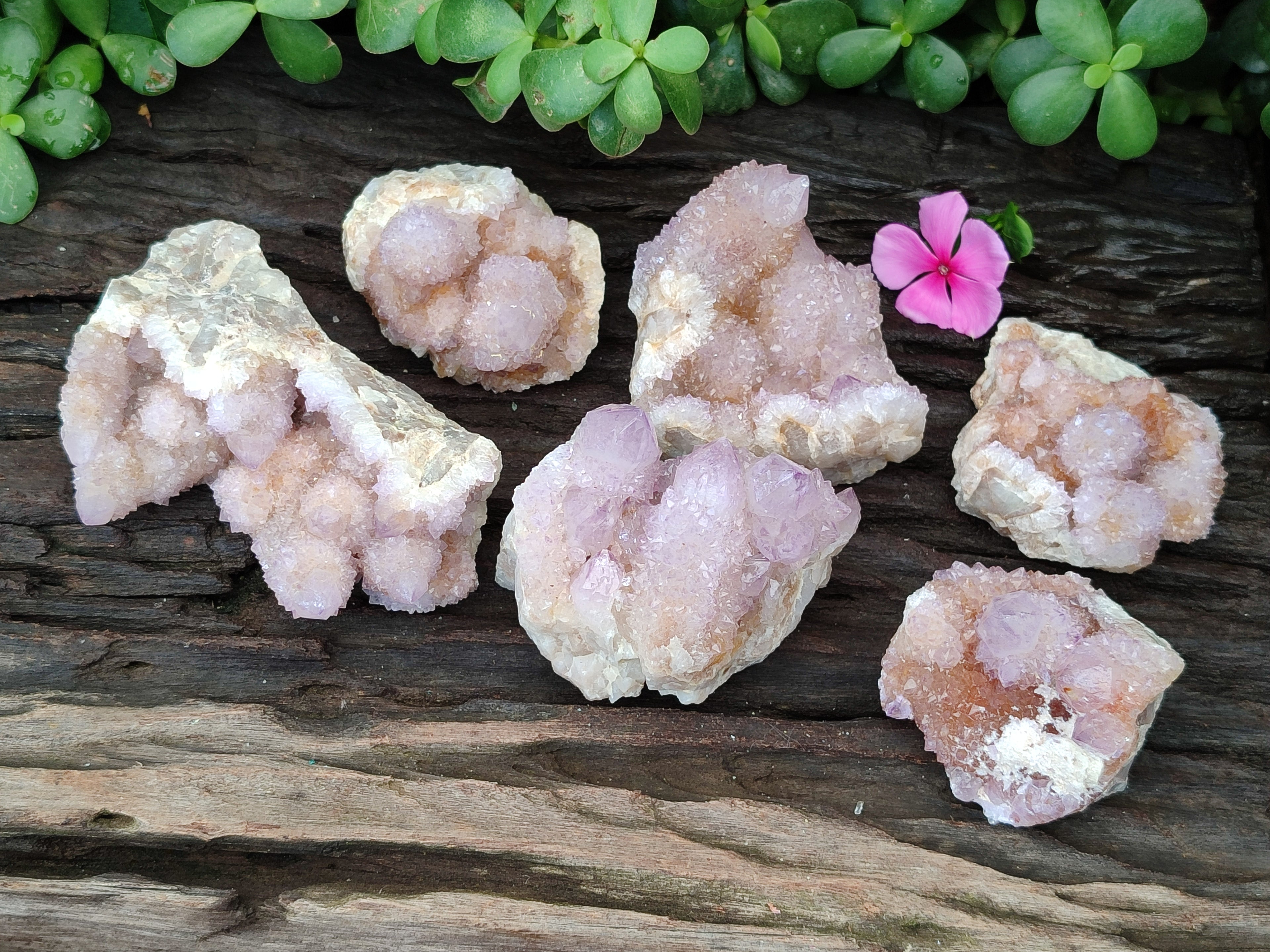 Natural Amethyst Spirit Quartz Clusters x 6 From Boekenhouthoek, South Africa - Toprock Gemstones and Minerals 