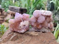 Natural Amethyst Spirit Quartz Clusters x 6 From Boekenhouthoek, South Africa