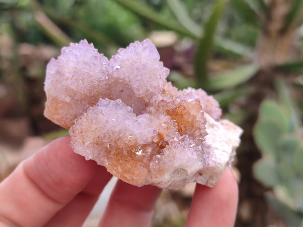 Natural Amethyst Spirit Quartz Clusters x 6 From Boekenhouthoek, South Africa