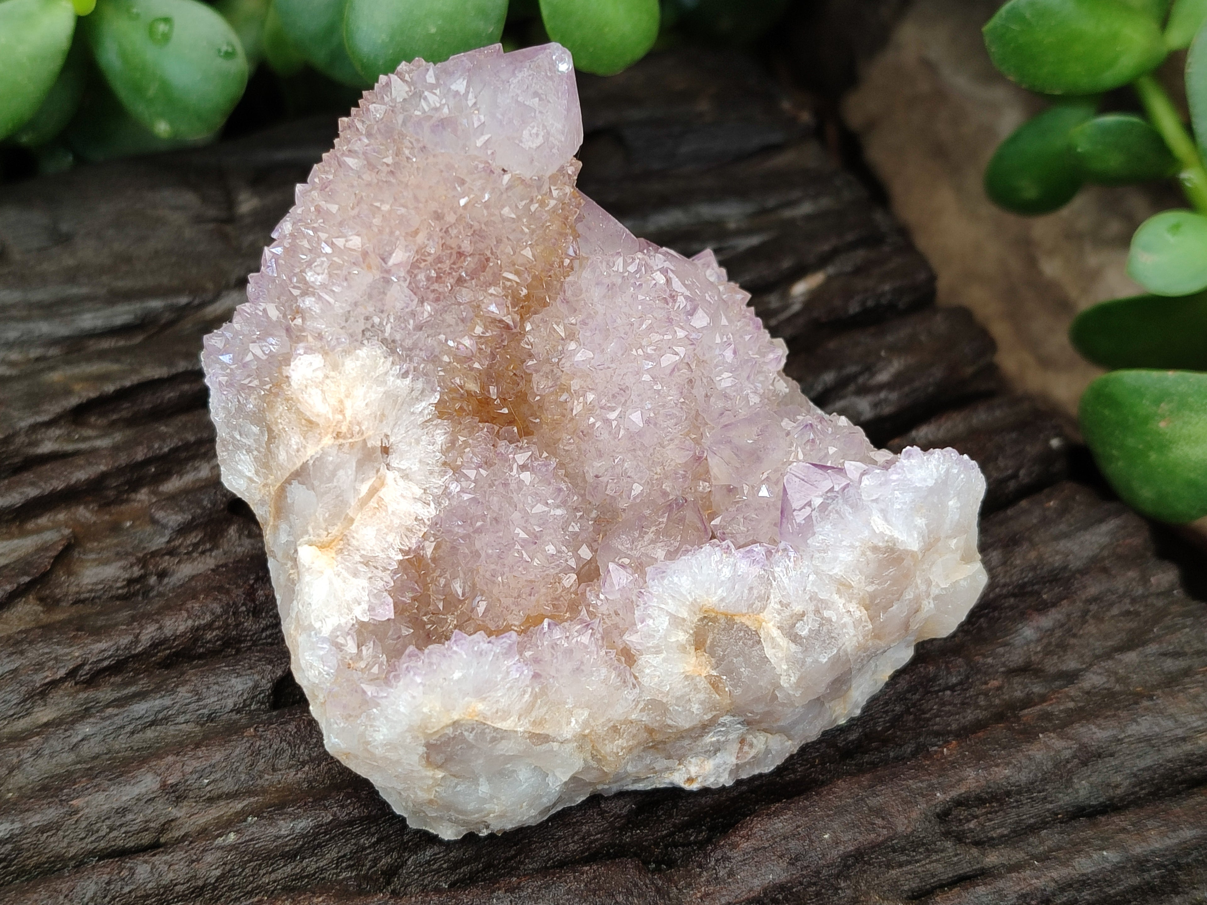 Natural Amethyst Spirit Quartz Clusters x 6 From Boekenhouthoek, South Africa - Toprock Gemstones and Minerals 