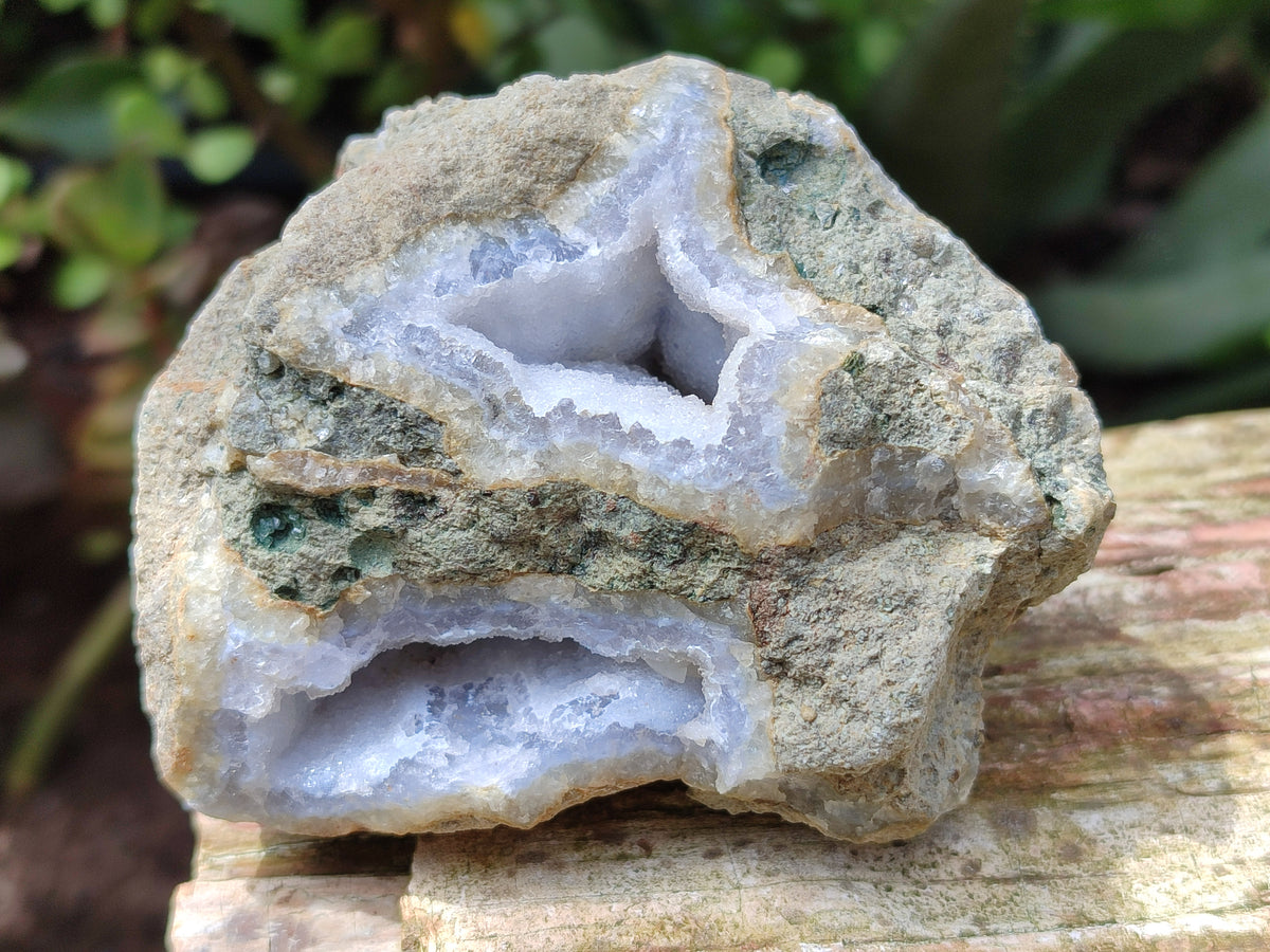 Natural Blue Lace Agate Geode Specimens x 12 From Nsanje, Malawi - Toprock Gemstones and Minerals 