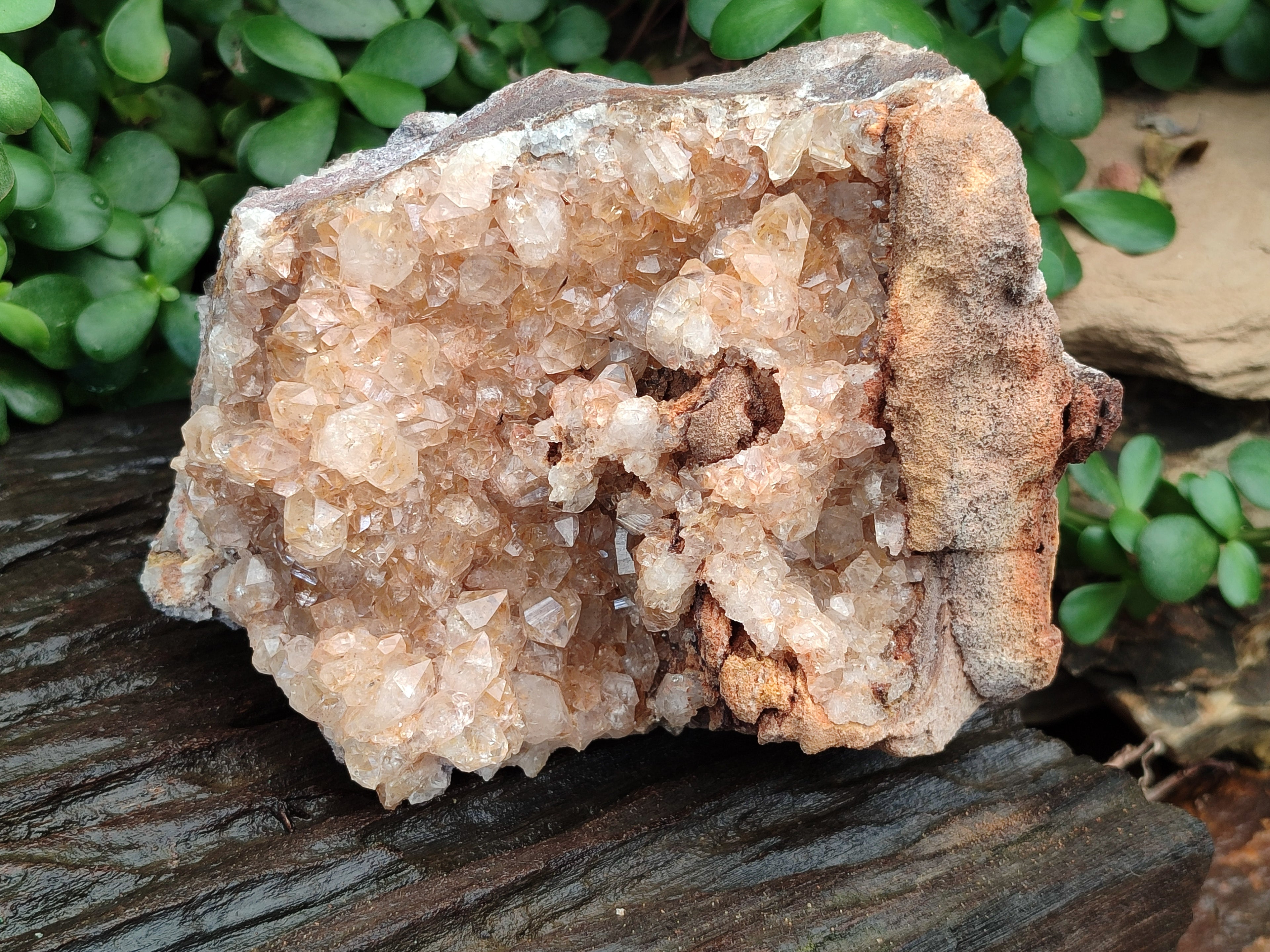 Natural Limonite Quartz Clusters x 2 From Solwezi, Zambia - Toprock Gemstones and Minerals 