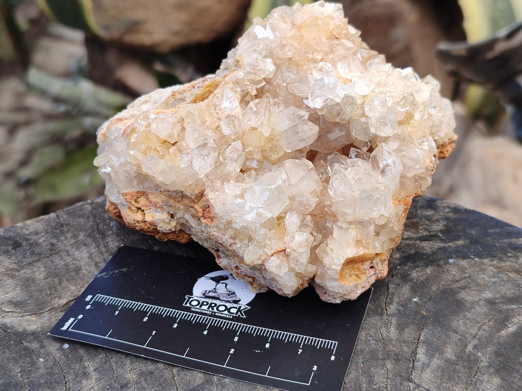 Natural Limonite Quartz Clusters x 2 From Solwezi, Zambia - Toprock Gemstones and Minerals 
