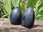 Polished Black Tourmaline Standing Free Forms x 2 From Madagascar - Toprock Gemstones and Minerals 
