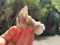 Natural Drusy Quartz Coated Calcite Pseudomorph Specimens x 12 From Alberts Mountain, Lesotho - Toprock Gemstones and Minerals 