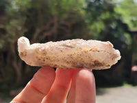 Natural Drusy Quartz Coated Calcite Pseudomorph Specimens x 12 From Alberts Mountain, Lesotho - Toprock Gemstones and Minerals 