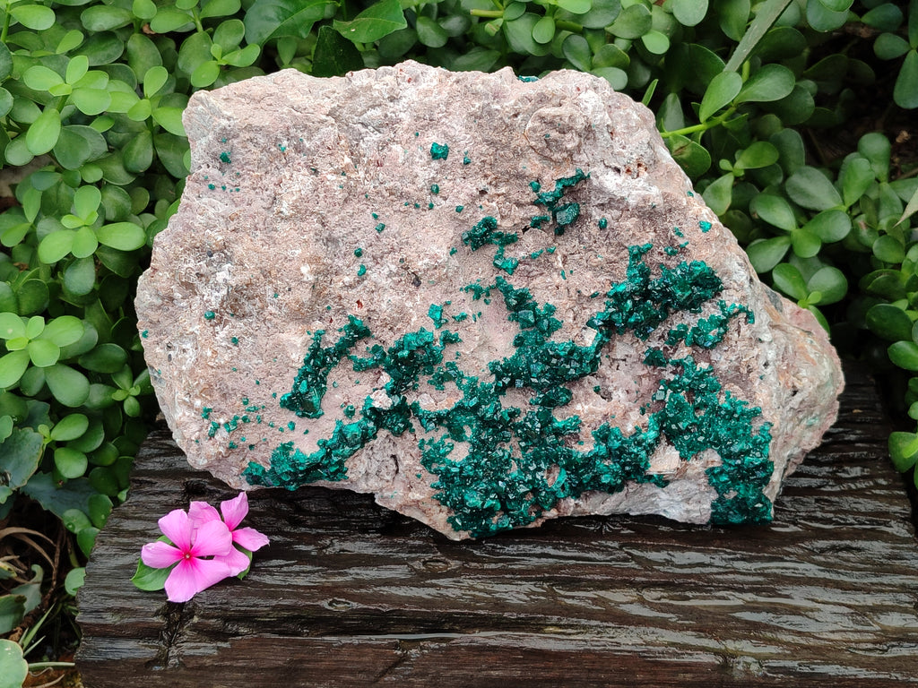Natural Dioptase Cabinet Specimen x 1 From Congo - Toprock Gemstones and Minerals 