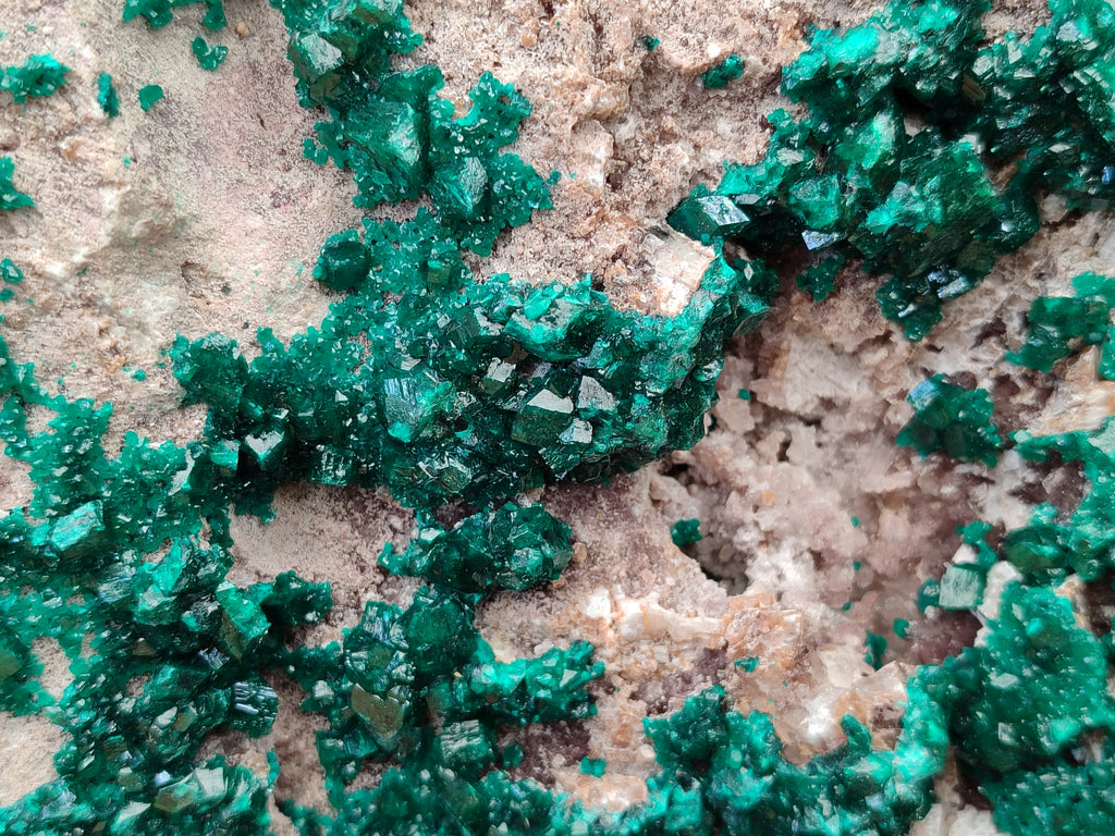 Natural Dioptase Cabinet Specimen x 1 From Congo - Toprock Gemstones and Minerals 