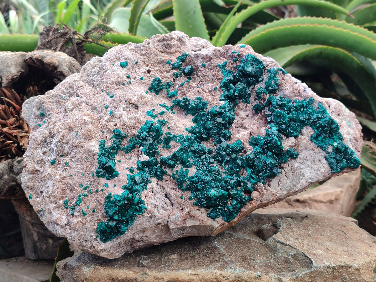 Natural Dioptase Cabinet Specimen x 1 From Congo - Toprock Gemstones and Minerals 