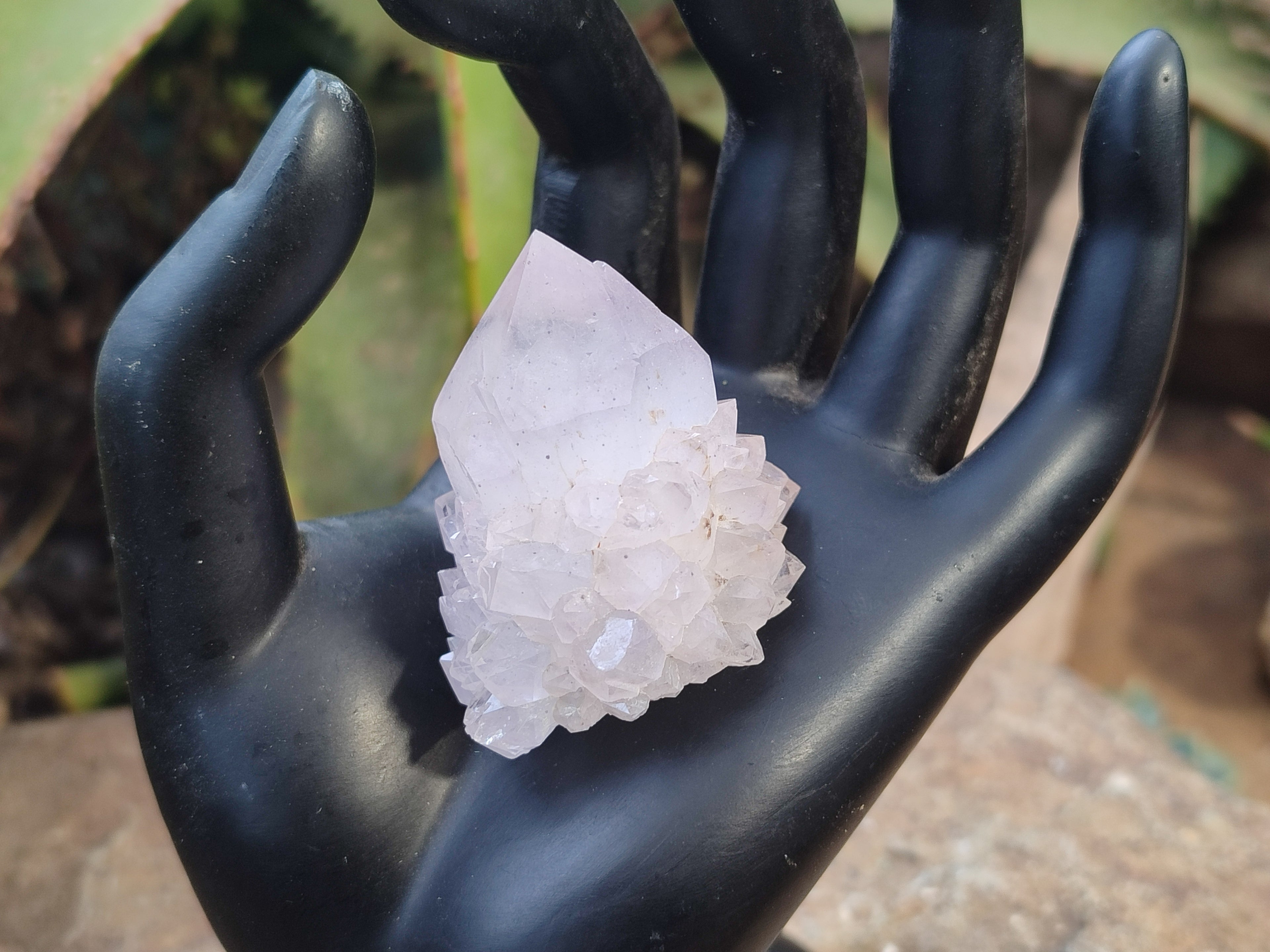Natural Cactus Flower Spirit Quartz Clusters x 12 From Boekenhouthoek, South Africa - Toprock Gemstones and Minerals 