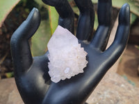 Natural Cactus Flower Spirit Quartz Clusters x 12 From Boekenhouthoek, South Africa