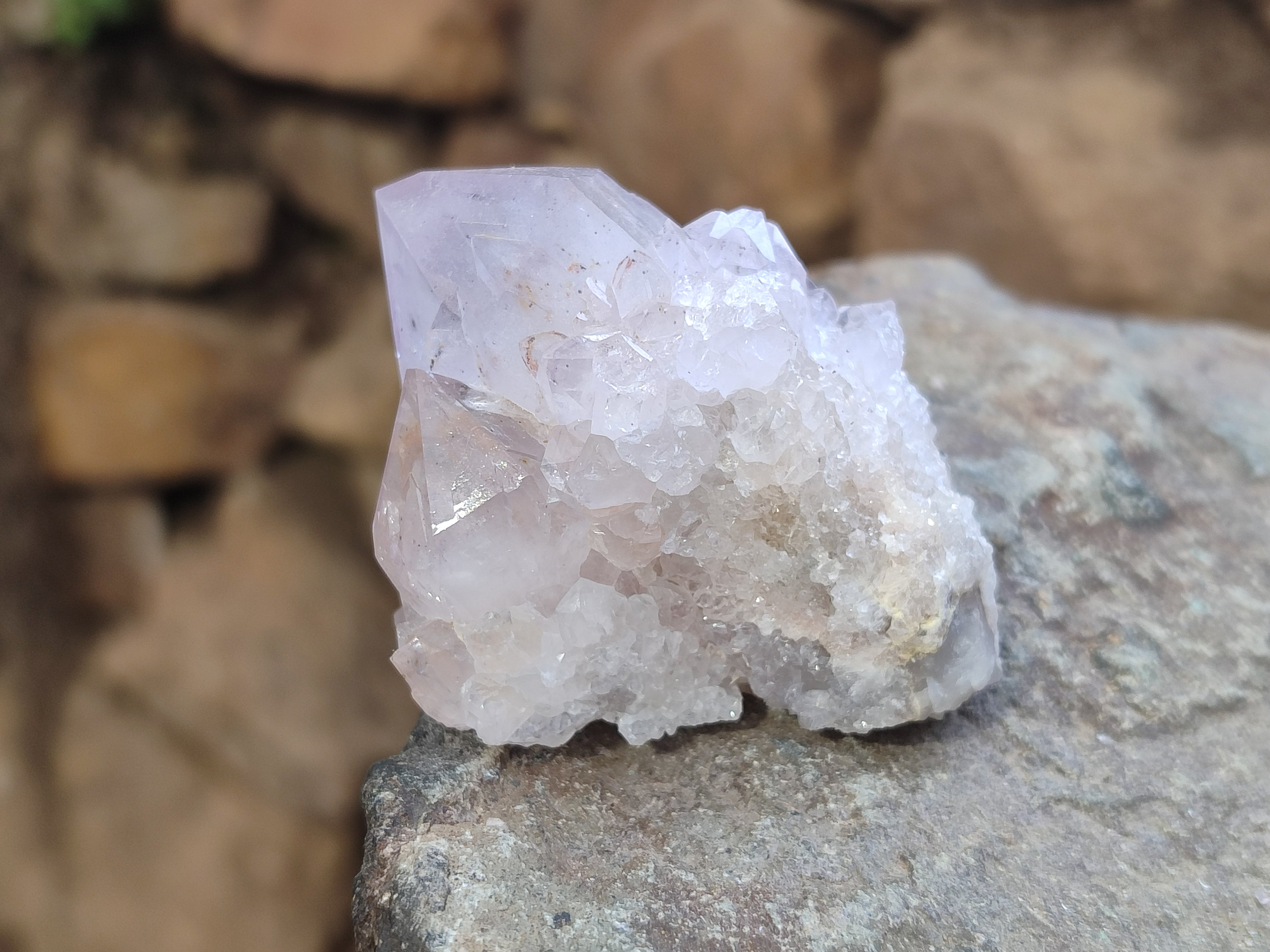 Natural Cactus Flower Spirit Quartz Clusters x 12 From Boekenhouthoek, South Africa - Toprock Gemstones and Minerals 