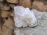 Natural Cactus Flower Spirit Quartz Clusters x 12 From Boekenhouthoek, South Africa