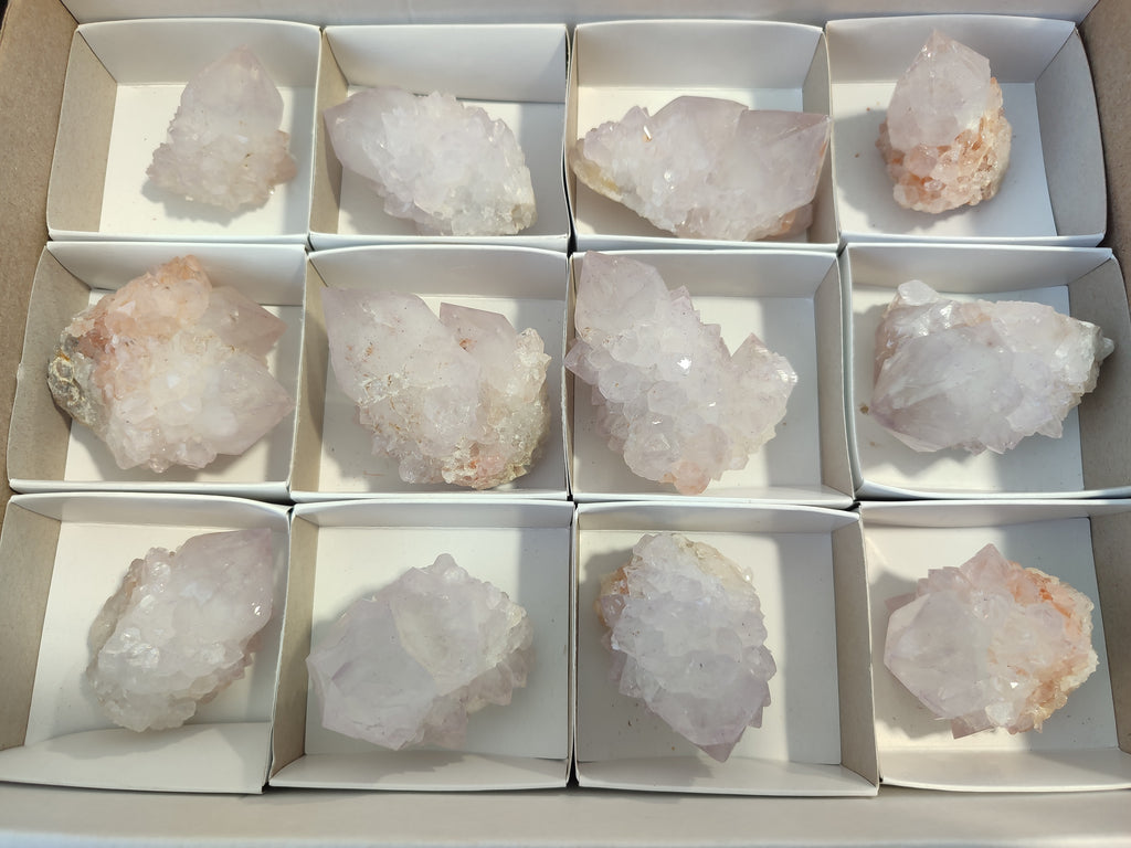 Natural Cactus Flower Spirit Quartz Clusters x 12 From Boekenhouthoek, South Africa - Toprock Gemstones and Minerals 