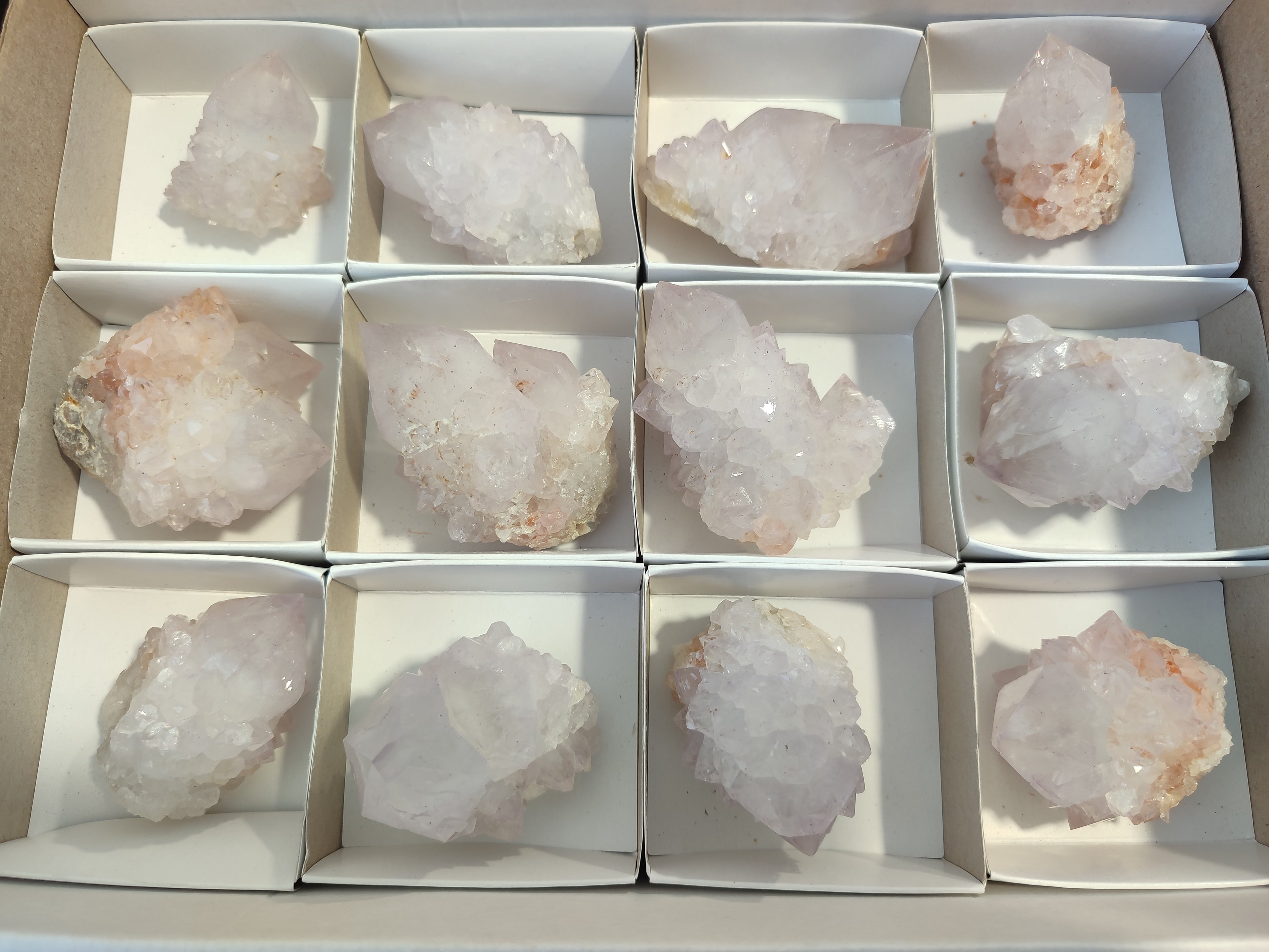 Natural Cactus Flower Spirit Quartz Clusters x 12 From Boekenhouthoek, South Africa - Toprock Gemstones and Minerals 