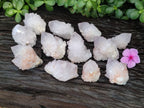 Natural Cactus Flower Spirit Quartz Clusters x 12 From Boekenhouthoek, South Africa - Toprock Gemstones and Minerals 