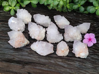 Natural Cactus Flower Spirit Quartz Clusters x 12 From Boekenhouthoek, South Africa
