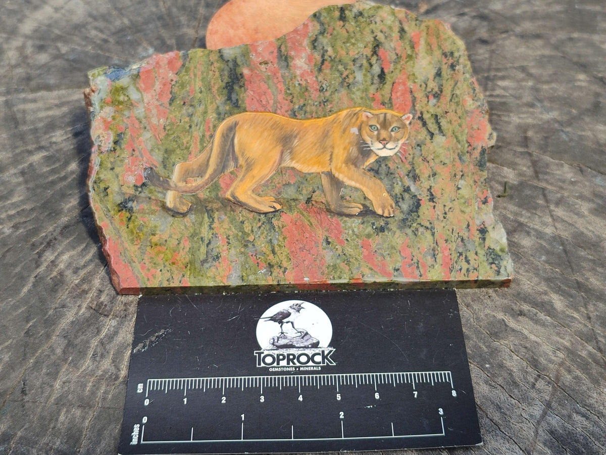 Hand Made Animal Decoupage Stone Slabs x 3 From Southern Africa - Toprock Gemstones and Minerals 