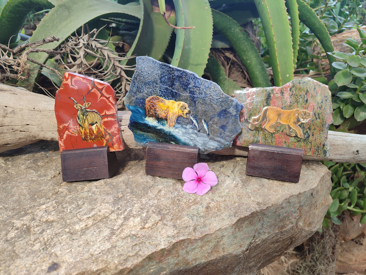 Hand Made Animal Decoupage Stone Slabs x 3 From Southern Africa - Toprock Gemstones and Minerals 