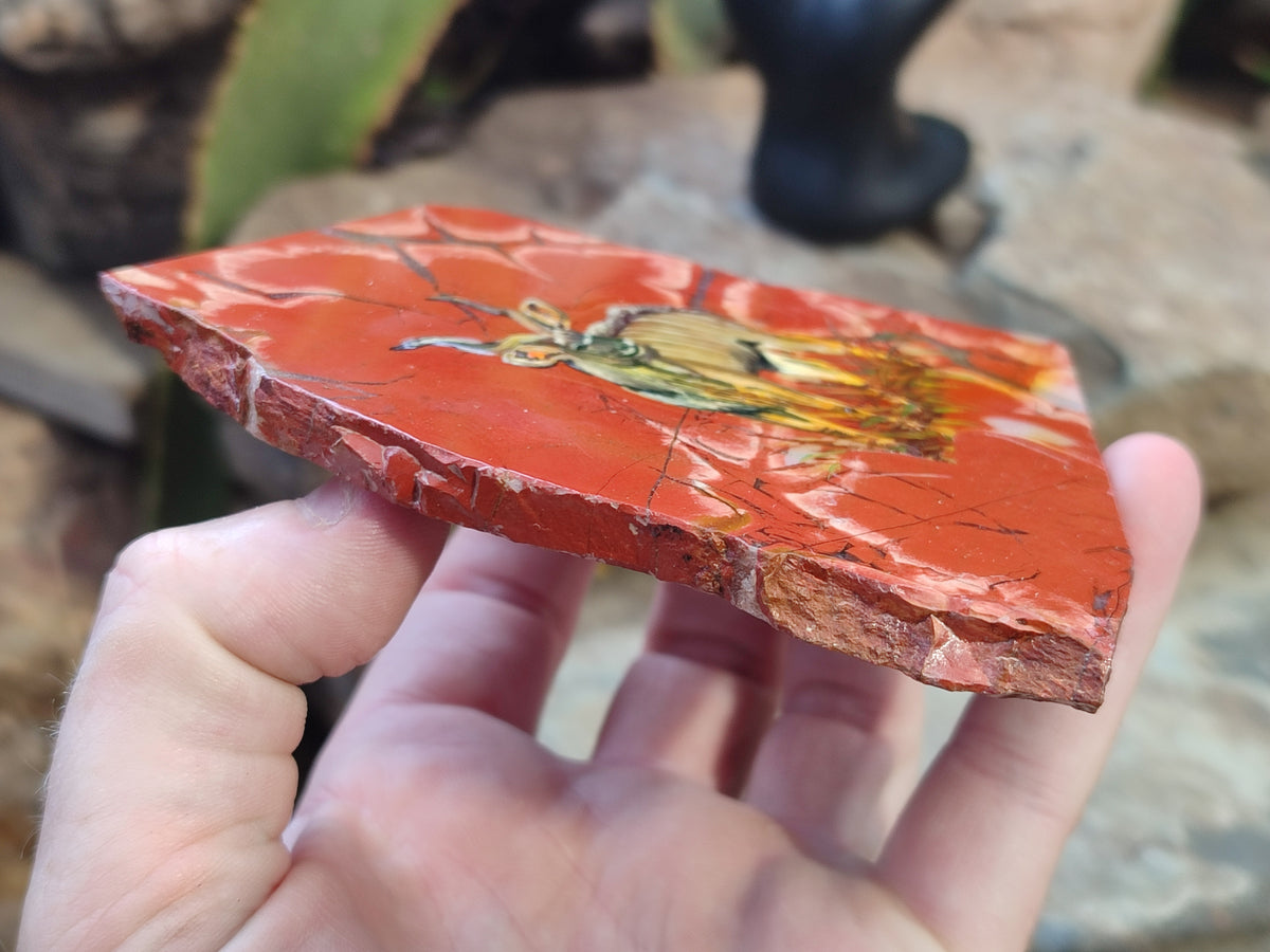 Hand Made Animal Decoupage Stone Slabs x 3 From Southern Africa - Toprock Gemstones and Minerals 