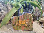 Hand Made Animal Decoupage Stone Slabs x 3 From Southern Africa - Toprock Gemstones and Minerals 