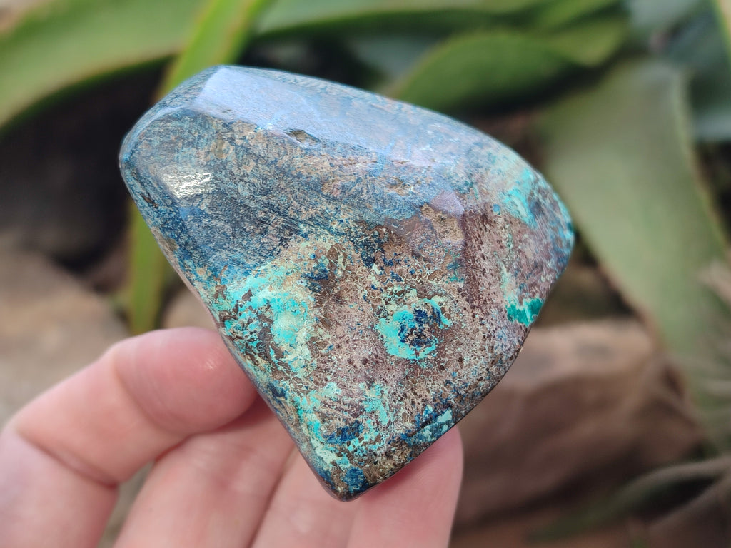 Polished Shattuckite With Azurite & Chrysocolla Free Forms x 6 From Congo - Toprock Gemstones and Minerals 