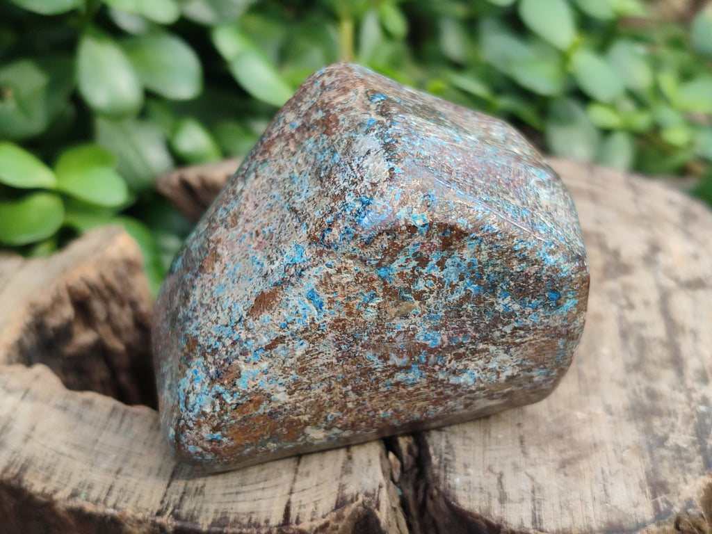 Polished Shattuckite With Azurite & Chrysocolla Free Forms x 6 From Congo - Toprock Gemstones and Minerals 