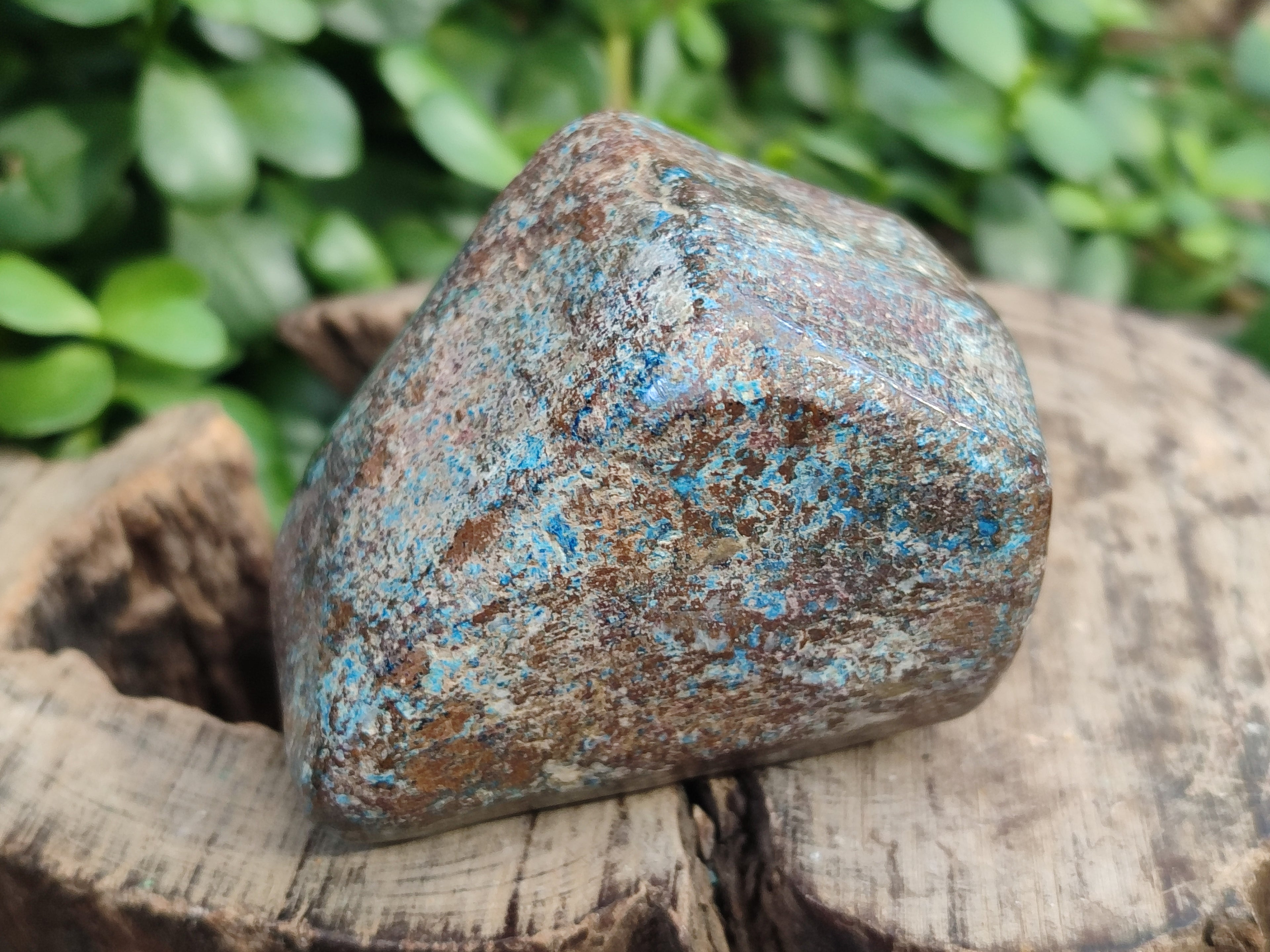 Polished Shattuckite With Azurite & Chrysocolla Free Forms x 6 From Congo - Toprock Gemstones and Minerals 