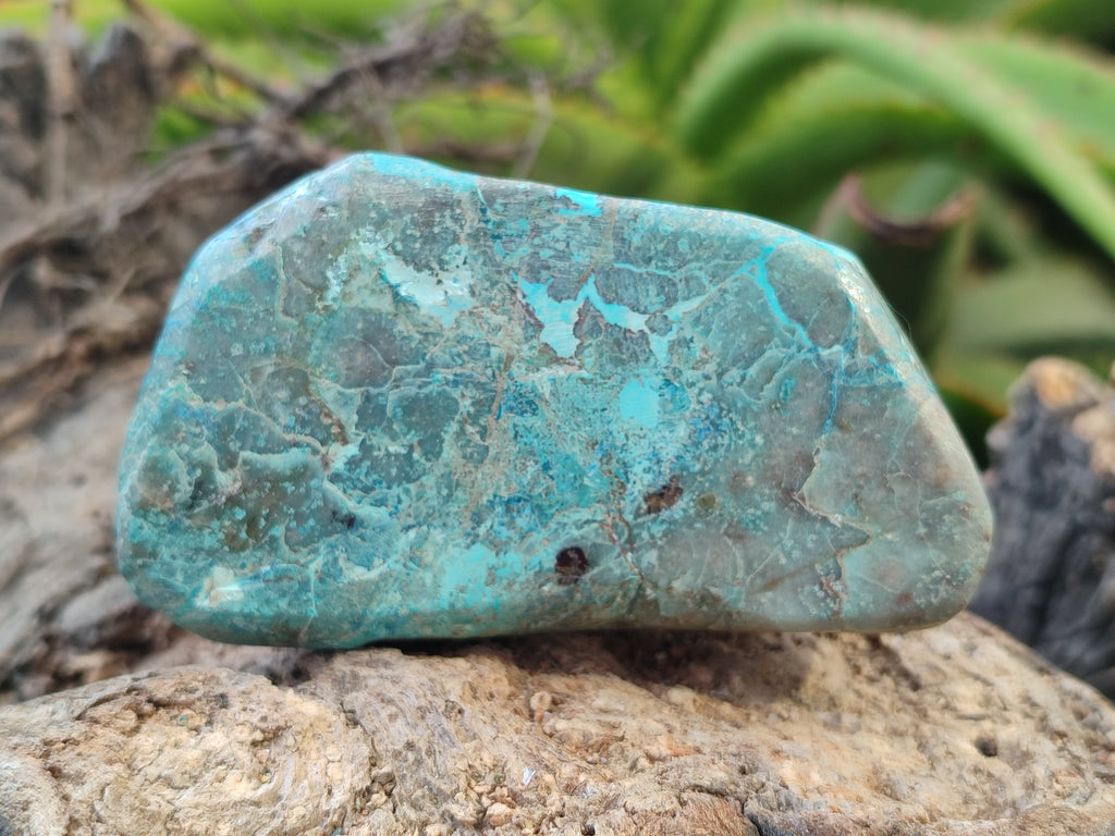 Polished Shattuckite With Azurite & Chrysocolla Free Forms x 6 From Congo - Toprock Gemstones and Minerals 