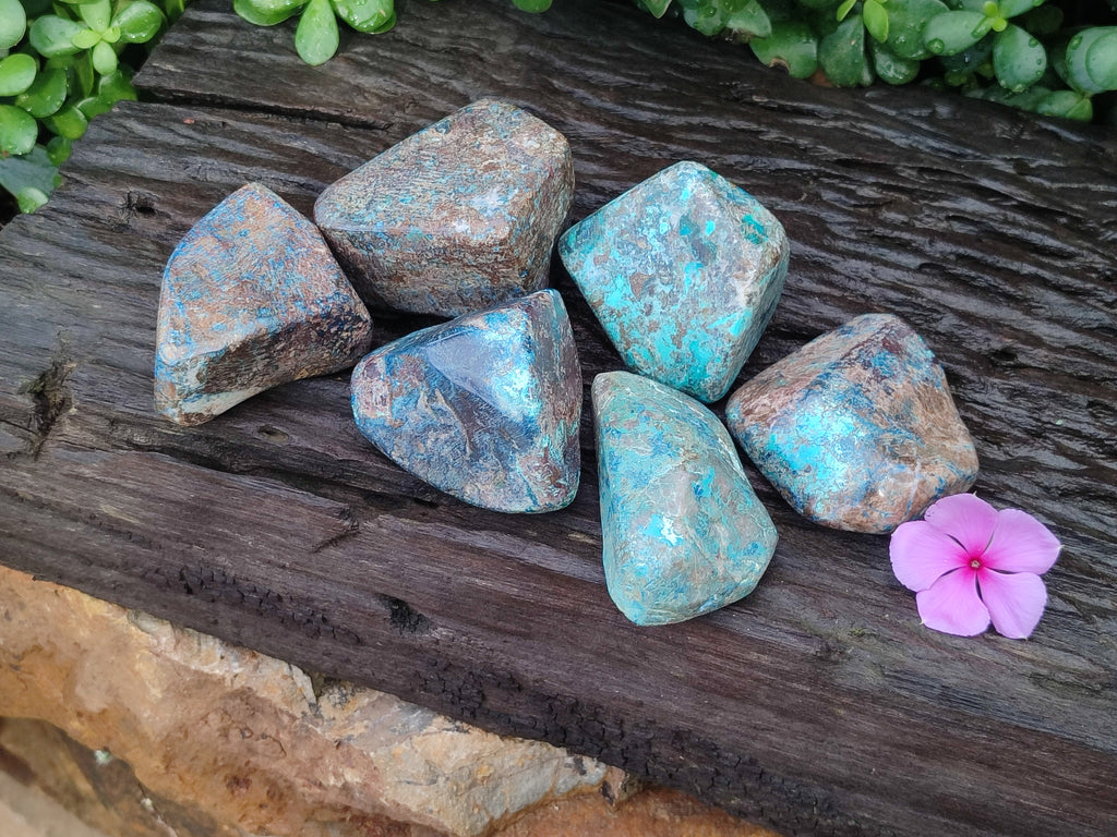 Polished Shattuckite With Azurite & Chrysocolla Free Forms x 6 From Congo - Toprock Gemstones and Minerals 