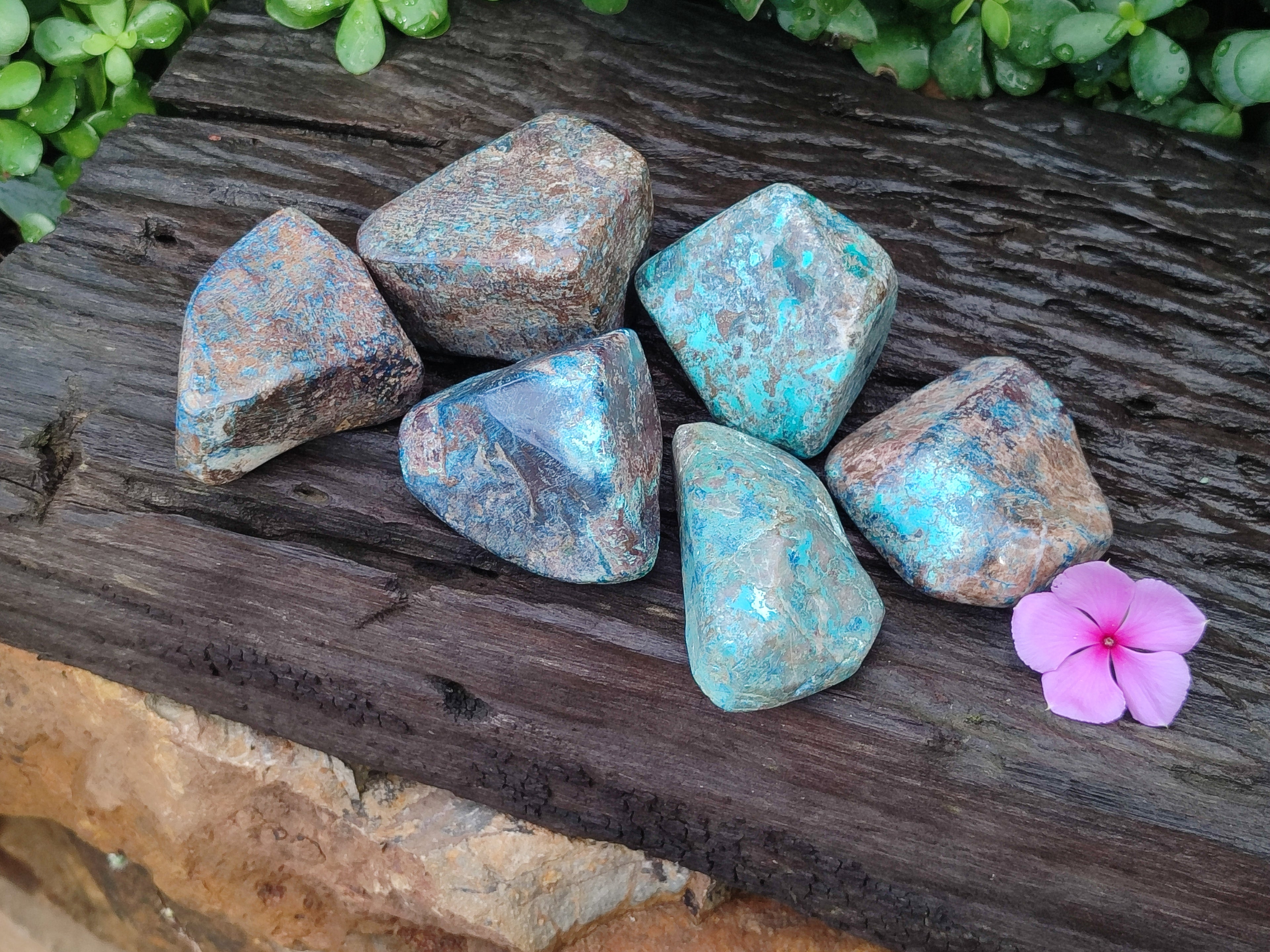 Polished Shattuckite With Azurite & Chrysocolla Free Forms x 6 From Congo - Toprock Gemstones and Minerals 