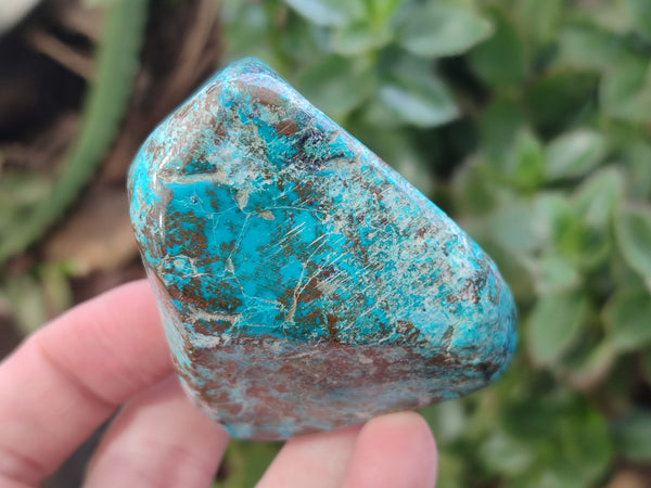 Polished Shattuckite With Azurite & Chrysocolla Free Forms x 6 From Congo - Toprock Gemstones and Minerals 
