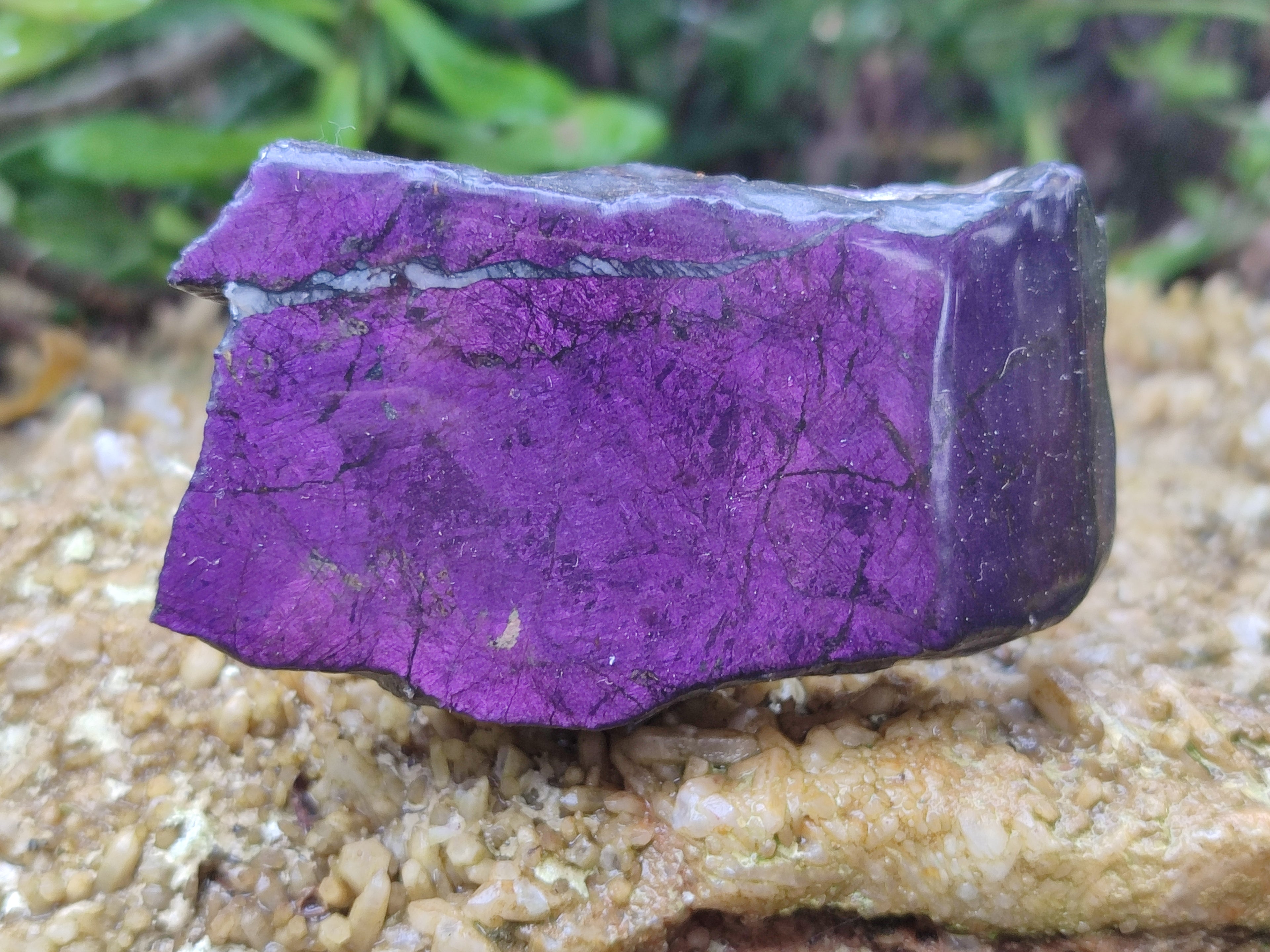 Polished On One Side Purpurite x 6 From Namibia - Toprock Gemstones and Minerals 