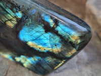Polished Labradorite Standing Free Forms x 3 From Tulear, Madagascar - Toprock Gemstones and Minerals 