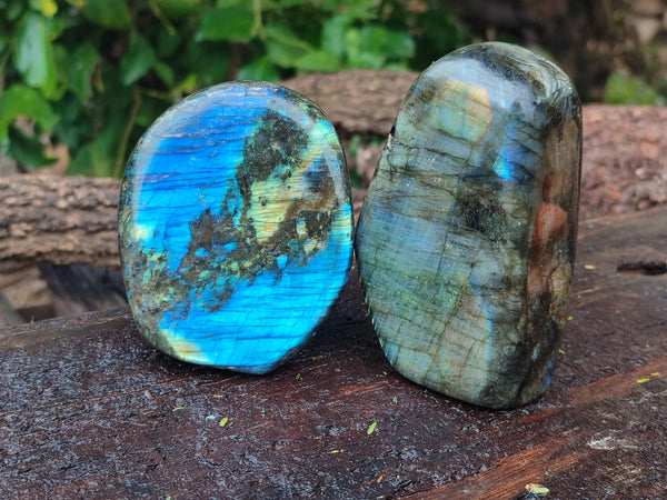Polished Labradorite Standing Free Forms x 3 From Tulear, Madagascar - Toprock Gemstones and Minerals 