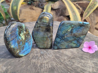 Polished Labradorite Standing Free Forms x 3 From Tulear, Madagascar - Toprock Gemstones and Minerals 