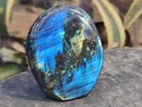 Polished Labradorite Standing Free Forms x 3 From Tulear, Madagascar - Toprock Gemstones and Minerals 