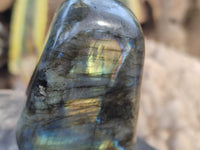Polished Labradorite Standing Free Forms x 3 From Tulear, Madagascar - Toprock Gemstones and Minerals 
