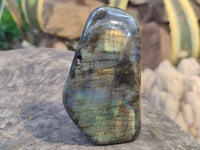 Polished Labradorite Standing Free Forms x 3 From Tulear, Madagascar - Toprock Gemstones and Minerals 