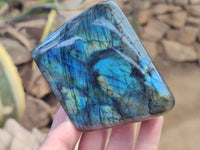 Polished Labradorite Standing Free Forms x 3 From Tulear, Madagascar - Toprock Gemstones and Minerals 